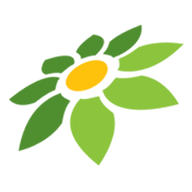 DOWNLOAD DOODSTREAM VIDEO DOWNLOADER
